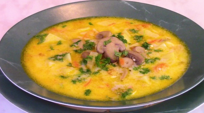 Суп из шампиньонов и плавленного сыра