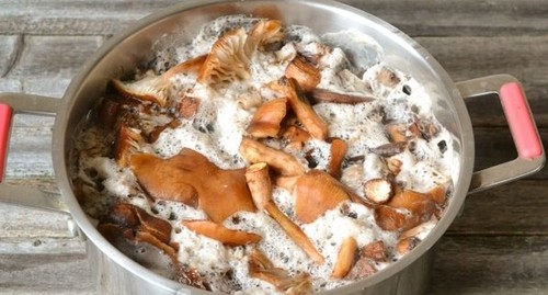 Грибная икра из вареных грибов: самый вкусный рецепт с фото пошагово 