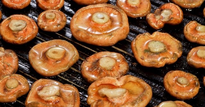 Рыжики с картошкой в сметане: рецепты грибных блюд