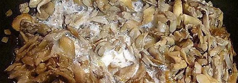 Рецепт котлет из вешенок с фаршем: как приготовить грибные котлеты