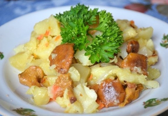 Курица с лисичками: рецепты блюд в сливочном соусе, сметане, запеканка