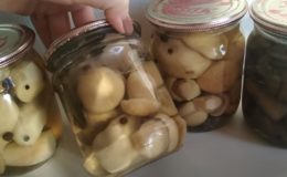 Маринованные белые грибы быстрого приготовления