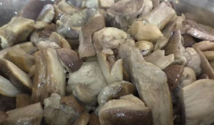 белые грибы маринованные на зиму без стерилизации