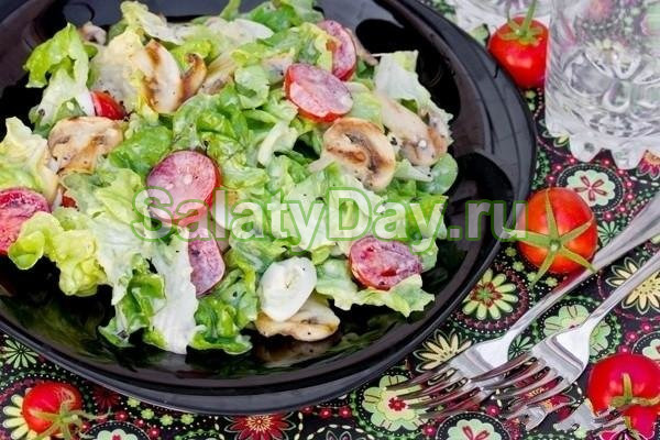 Изысканный салат с копченой курицей, маринованными грибами, помидорами и листьями салата