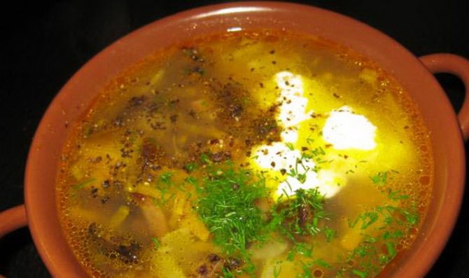 Cырный суп с опятами: лучшие варианты приготовления