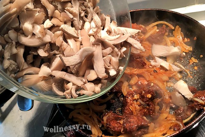 Свинина с вешенками, тушеная в духовке и на сковороде: рецепты грибных блюд