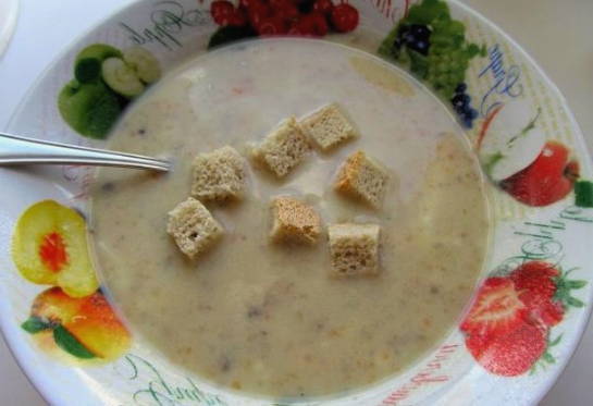 Грибной ПП суп: 5 диетических рецептов с фото - пюре, из шампиньонов, низкокалорийный