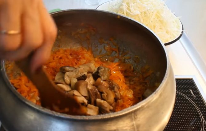 Солянка из капусты с грибами на зиму — 5 рецептов «Пальчики оближешь!»