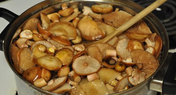 Солянка из капусты с грибами на зиму — 5 рецептов «Пальчики оближешь!»