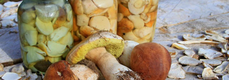 Маринованные грибы на зиму: проверенные рецепты с уксусом