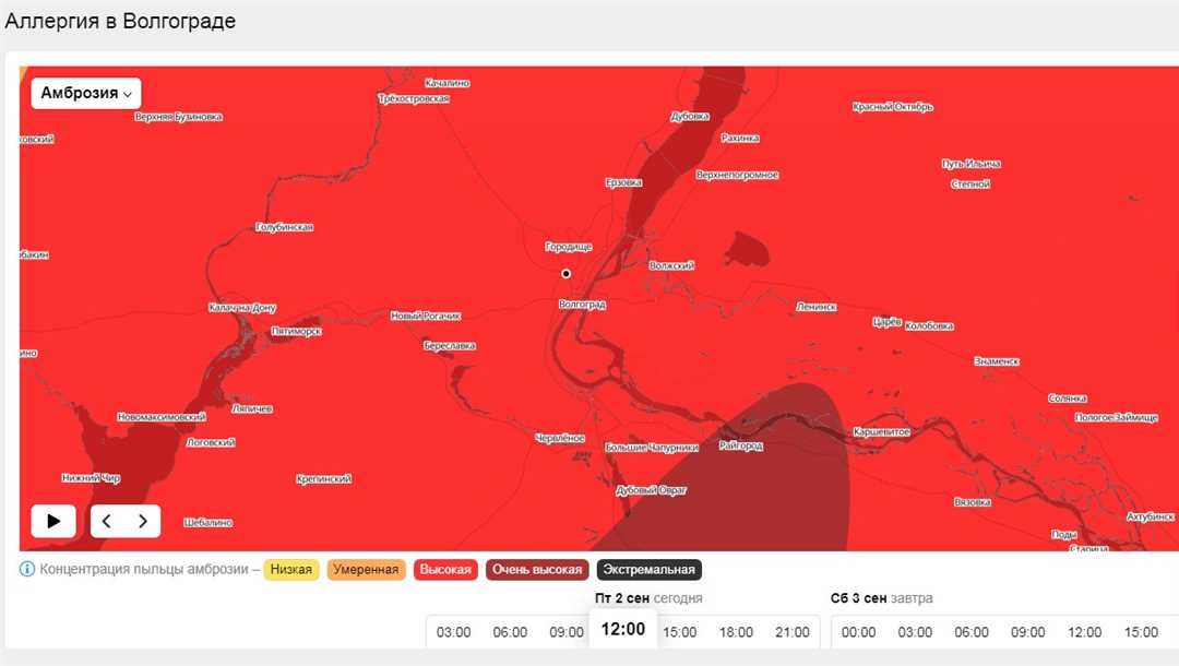 Карта, где не растет амброзия в России