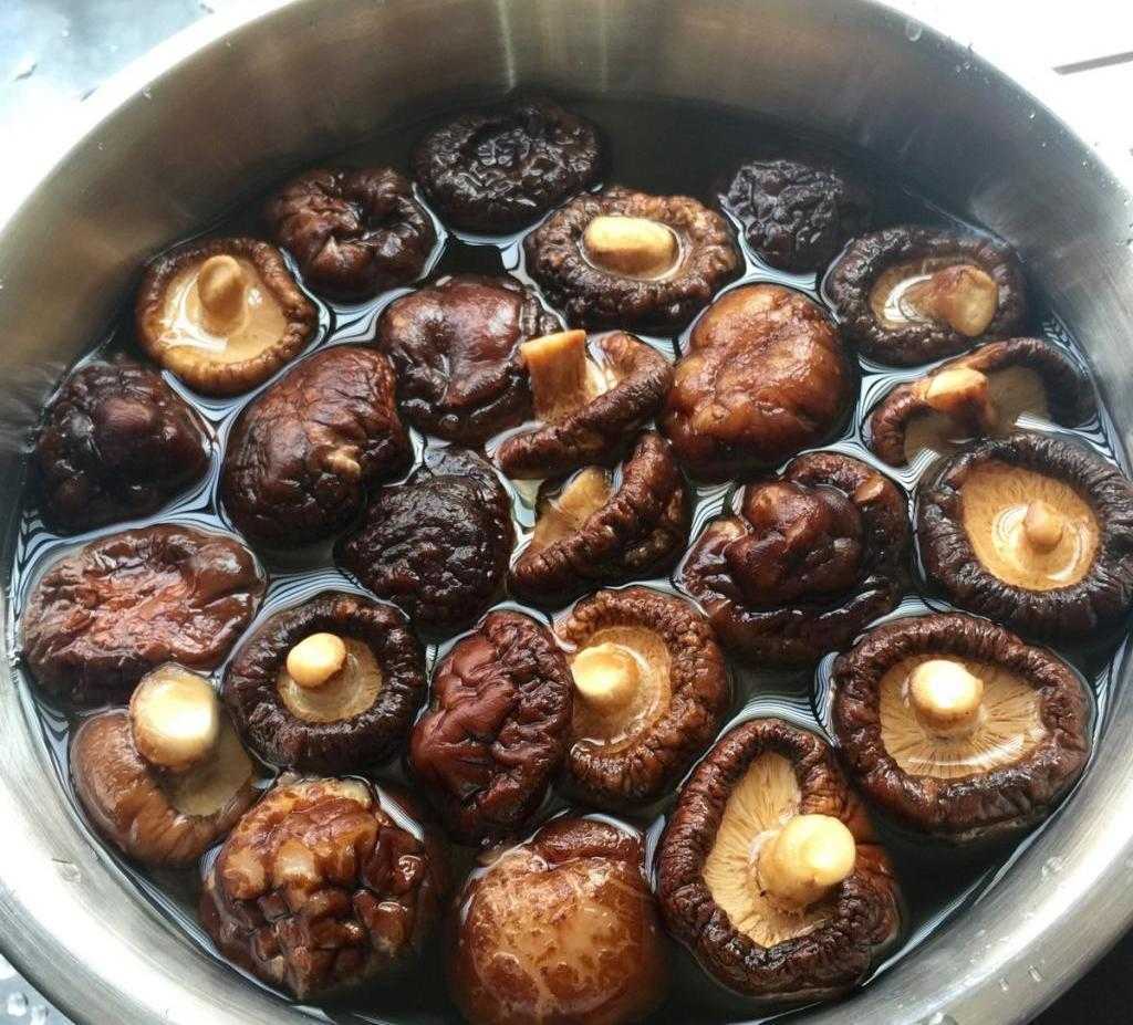 Сушеные грибы шиитаке: рецепты