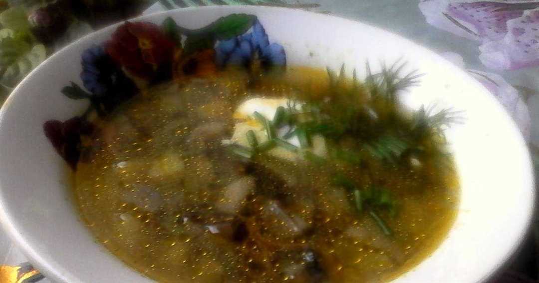 Рецепт грибного супа из синеножек