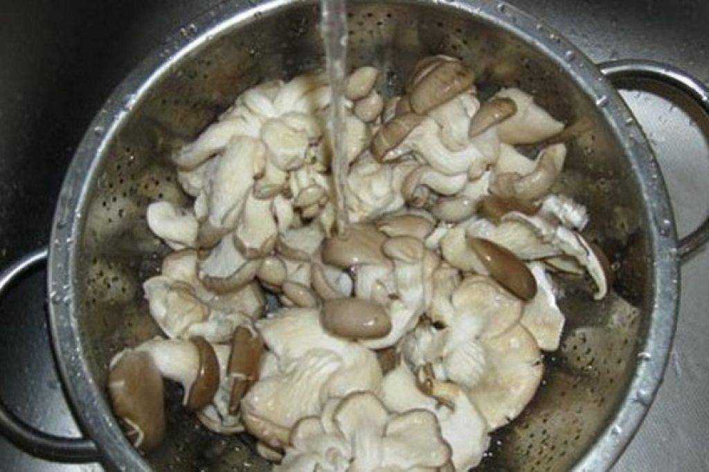 Как почистить вешенки грибы: пошаговая инструкция