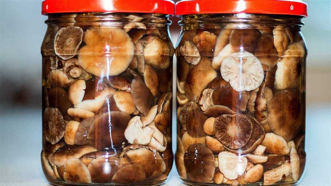 Как замариновать грибы на зиму?