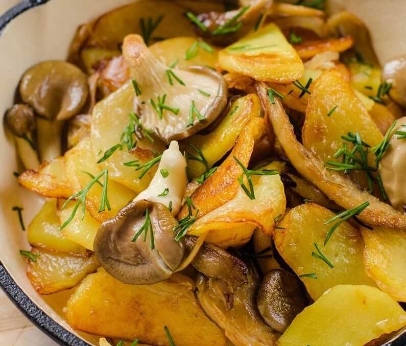 Картошка с вешенками жареная: простой и сытный ужин