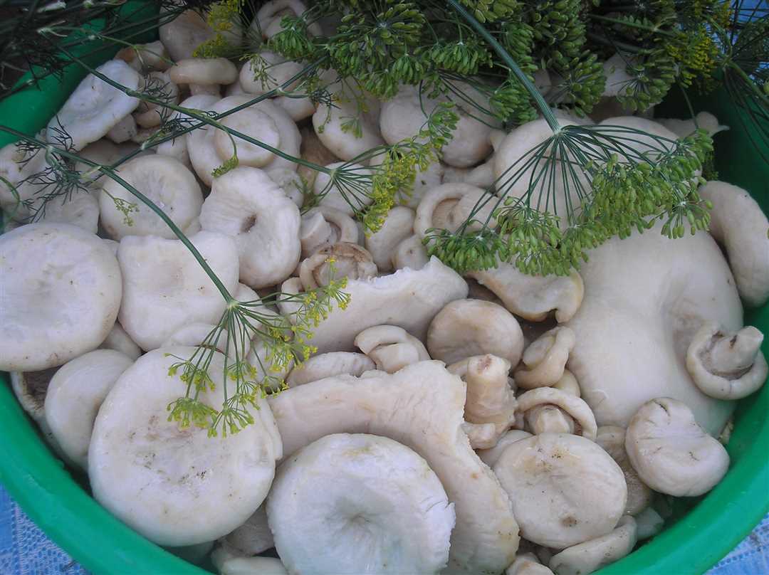 Засолка грибов горячим способом