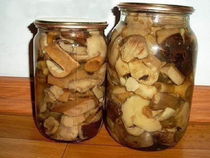 Рецепты засолки грибов