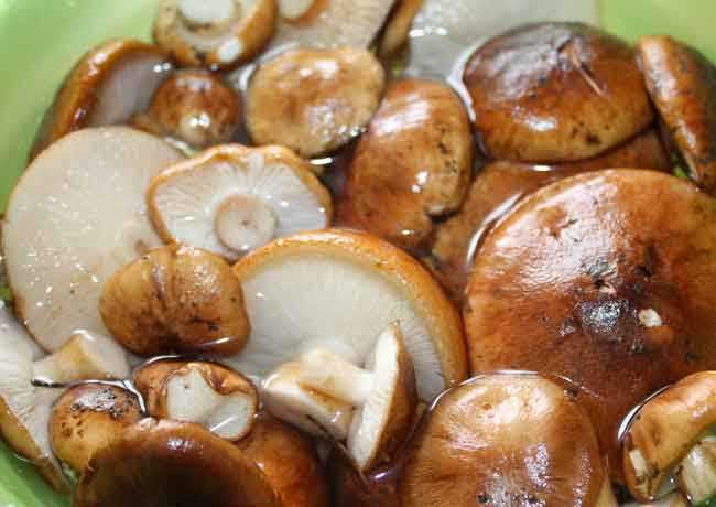 Продолжительность соления рядовок грибов