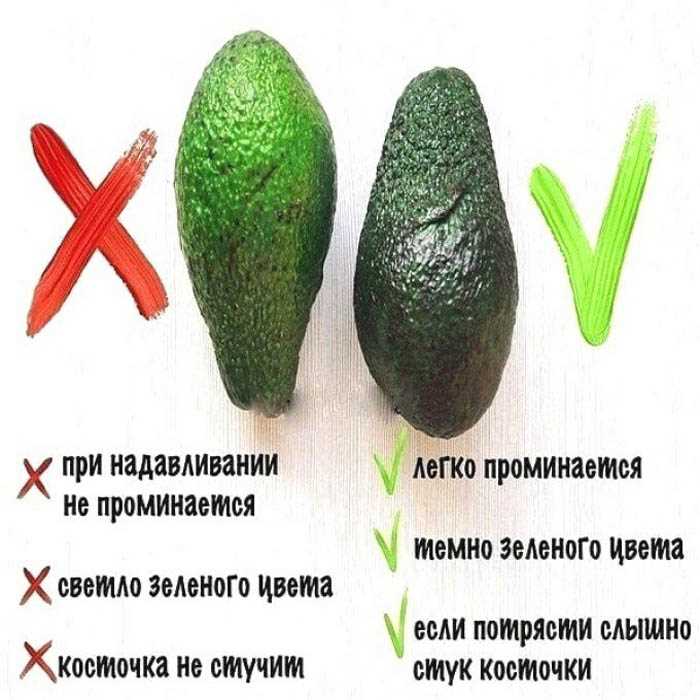 Правильный выбор авокадо