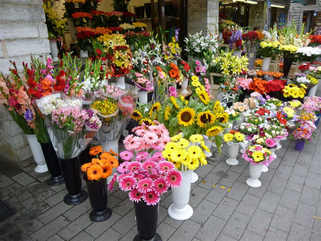 Какие цветы продаются в цветочных магазинах фото