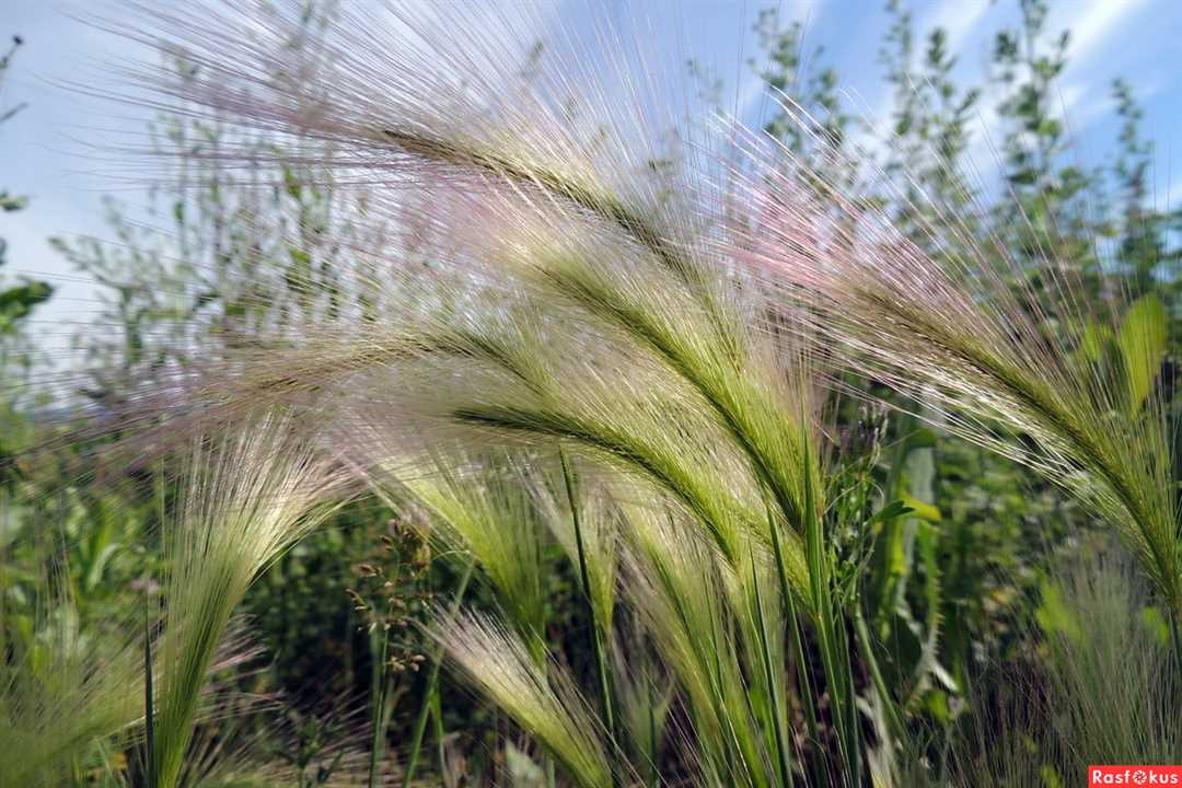 Производство