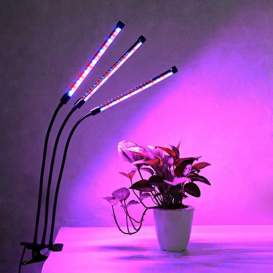Как выбрать светодиодную лампу для растений?