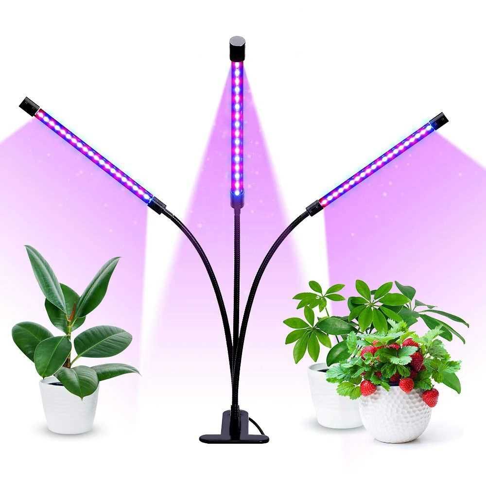 Светодиодные лампы для растений: преимущества и особенности