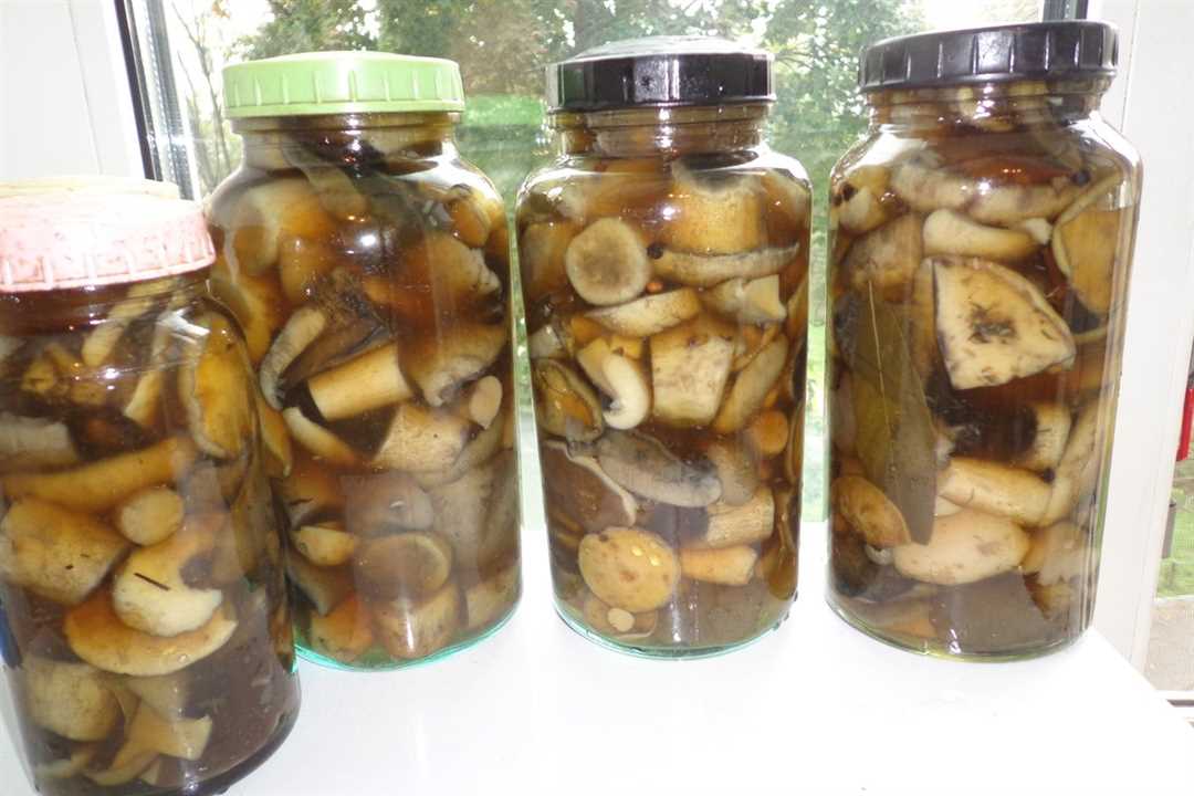 Рецепт маринования грибов подберезовиков