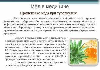 Как использование алоэ помогает при лечении бронхита и улучшает здоровье легких