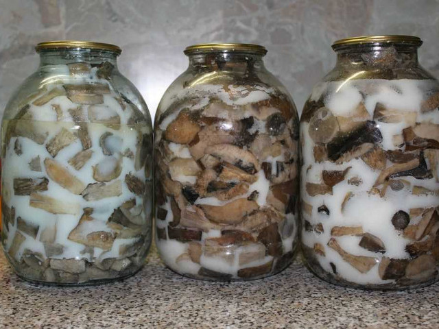 Белый осадок в маринованных грибах