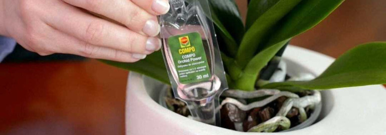 Каким способом можно изменить цвет орхидеи путем полива?