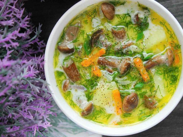 Грибной диетический суп: рецепты и полезные свойства