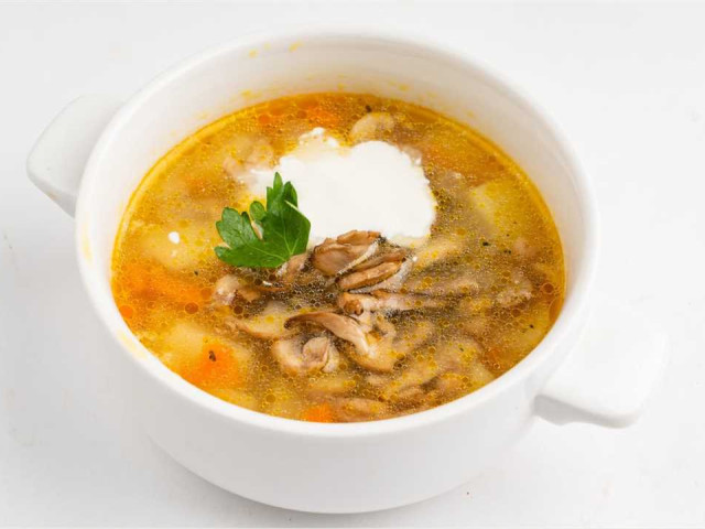 Грибной суп без мяса: рецепт с фото и пошаговой инструкцией