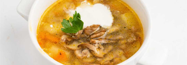 Грибной суп без мяса: рецепт с фото и пошаговой инструкцией