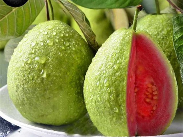 Гуава – вкусный экзотический фрукт с обилием полезных свойств, узнайте все о нем и насладитесь фото этого удивительного плода!