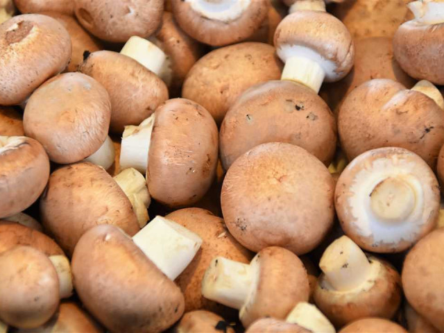 Как разморозить грибы