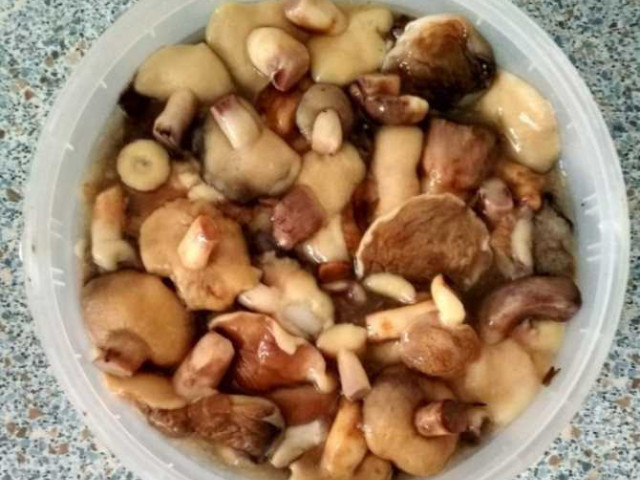 Как солить грибы маслята
