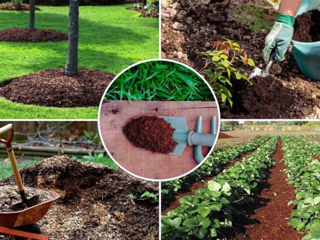 Секреты и простые способы улучшить почву на дачном участке и обеспечить богатый урожай