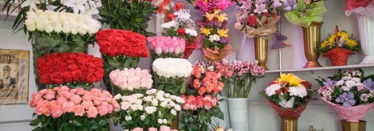 Широкий ассортимент красивейших растений, доступных для покупки в цветочных магазинах