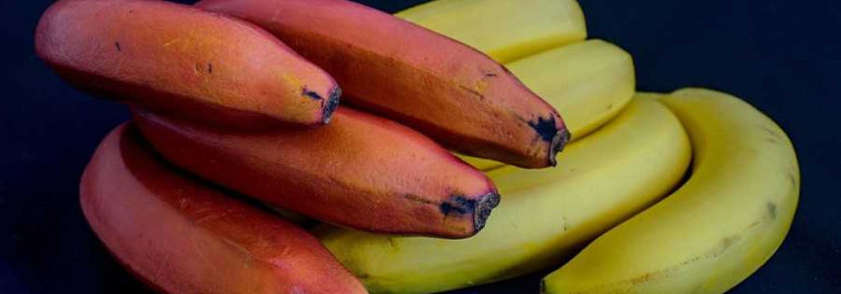 Красные бананы - вкусное и полезное тропическое новшество, которое станет главным хитом этого сезона!