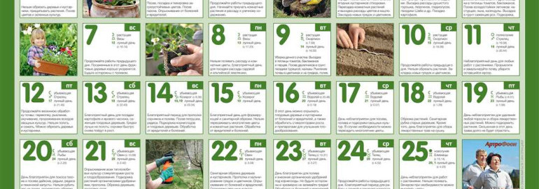 Лунный посевной календарь для мая - какие растения сеять, чтобы урожай был обильным и качественным