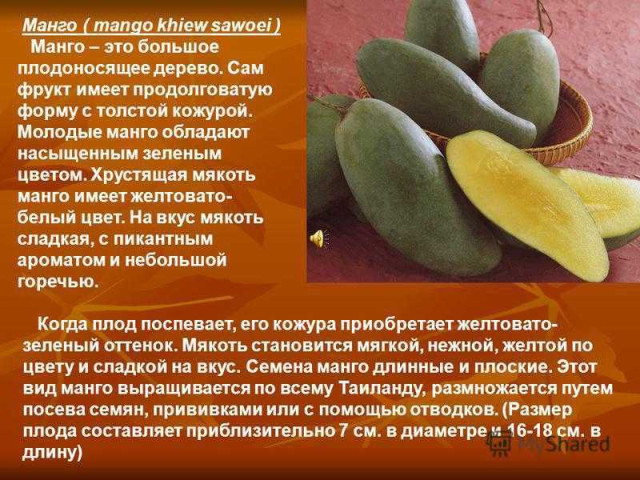 Все, что вам нужно знать о пользе манго и правильном его употреблении