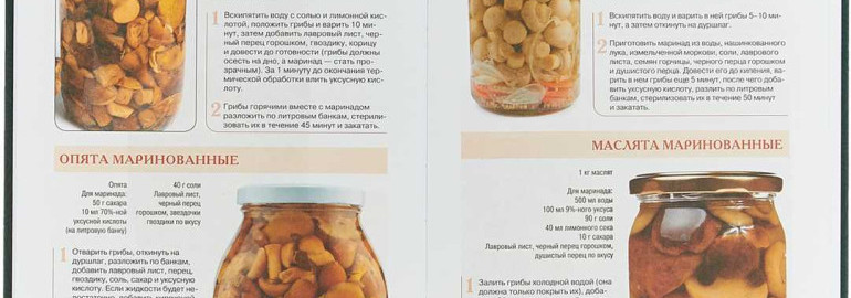 Маринад для грибов на 1 литр воды: лучшие рецепты