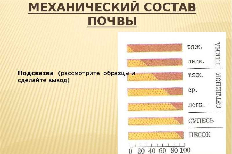 Механический и химический состав почв. Механический состав почвы. Почвы по механическому составу. Механический состав почвы схема. Механический состав почвы в процентах.