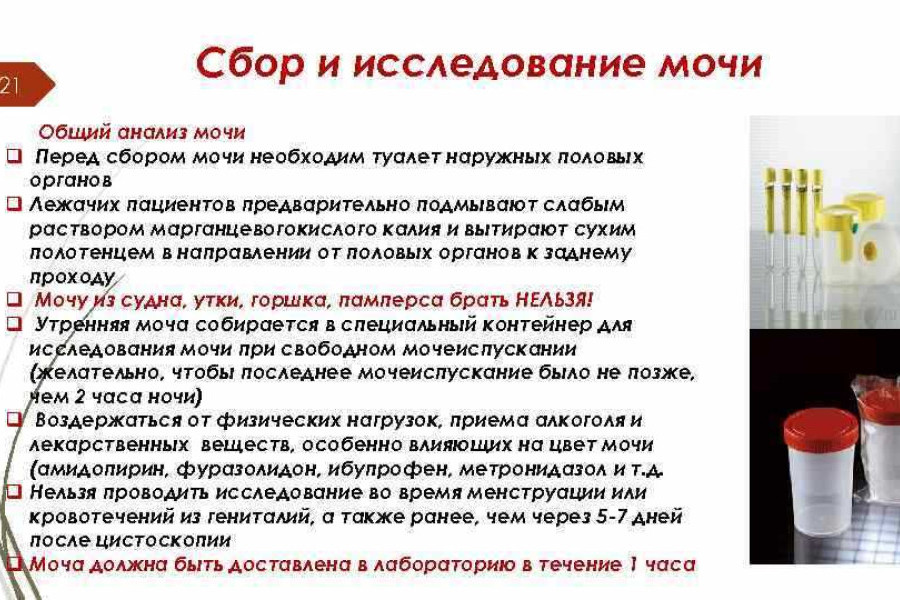 Можно Ли Дрочить Перед Сдачей Мочи Можно Ли Дрочить Перед Сдачей Мочи
