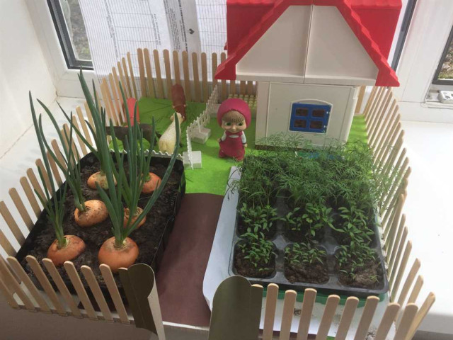 Огород на подоконнике - как выращивать свежие овощи и зелень в городской квартире без выхода на улицу
