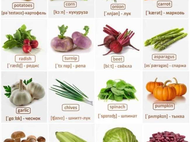 Очаровательные овощи на букву щ - подборка полезных продуктов для здоровья и кулинарных экспериментов