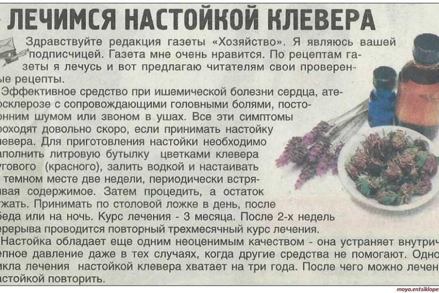 Настойка вред и польза