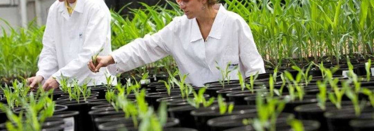 Растениевод - секреты успешного выращивания растений, советы по уходу и борьбе с вредителями